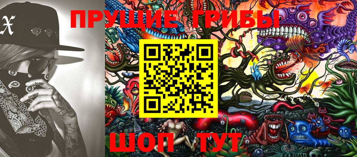 Качканар  Галлюциногенные грибы MAGIC MUSHROOMS  Вход с VPN  закладки  Псилоцибиновые грибы Psilocybe 
